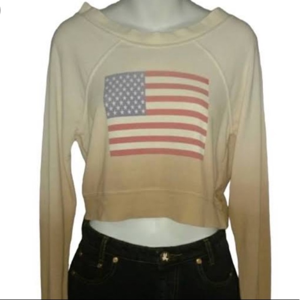 Wildfox American flag crop top